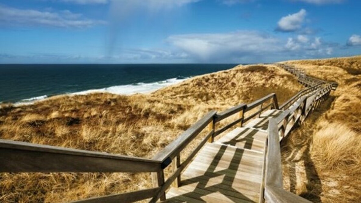 Eine lange Holztreppe, welche durch Dünen am Strand entlang führt.