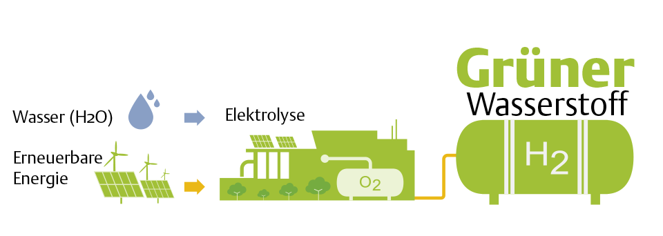 Infografik zur Herstellung von grünem Wasserstoff mittels Elektrolyse.