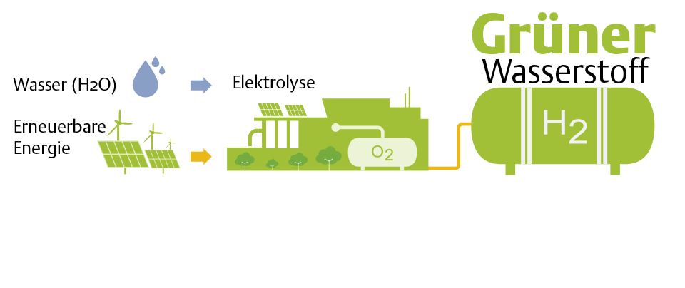 Infografik zur Herstellung von grünem Wasserstoff mittels Elektrolyse.