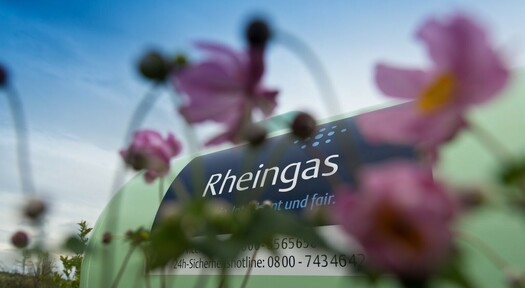 Ein Rheingas Flüssiggastank hinter rosa Blumen.