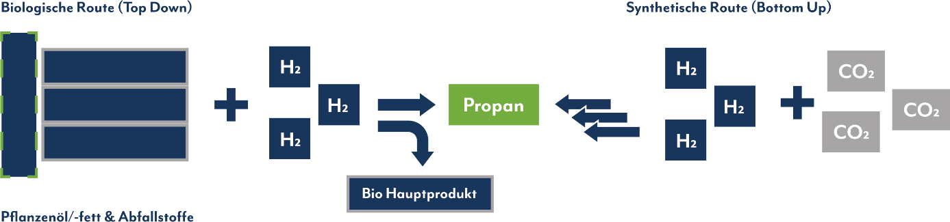 Infografik zur Herstellung von Bio LPG. 